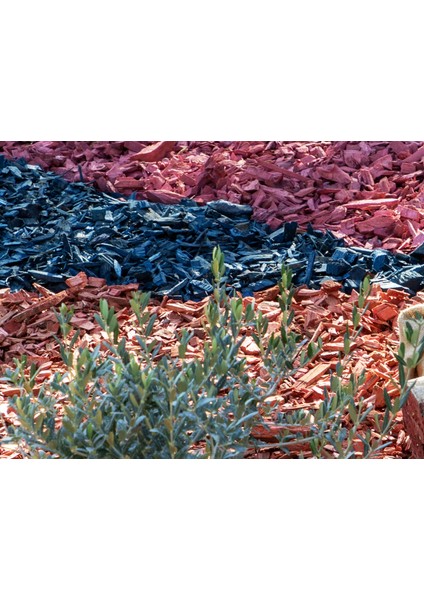 Dekoratif Pembe Renkli Ahşap Malç 40 Litre 2-5 cm Renkli Ağaç Kabuğu Renkli Ağaç Yongası Bahçe Dekor Peyzaj Color Mulch