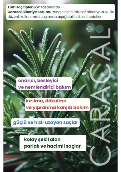 Rosemary Complex Extra Hacim ve Dolgunluk Etkili Saç Bakım 100 ml Biberiye Suyu modelleri