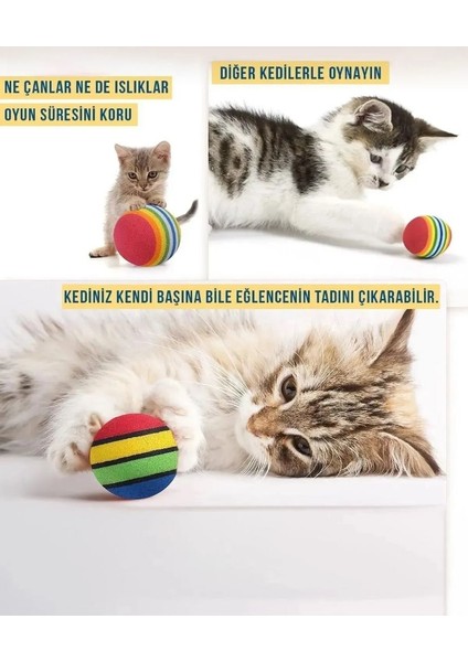 Sünger Kedi Köpek Çiğneme, Diş Çıkarma ve Oyun Topu 4 Adet