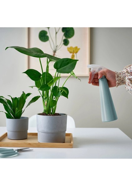 Tomat Ikea Sprey Şişesi fiyatları