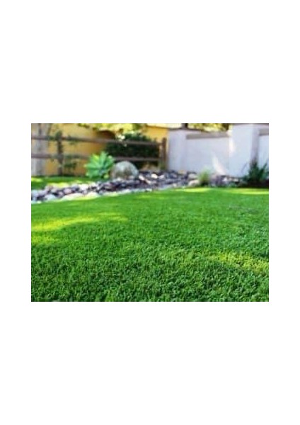 Kaymaz Taban Dekoratif Suya Dayanıklı 7 Mm Çim Halı fırsatları