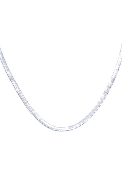 316L Çelik 2 mm Balık Sırtı Unısex Zincir Kolye ZN-215 fırsatları