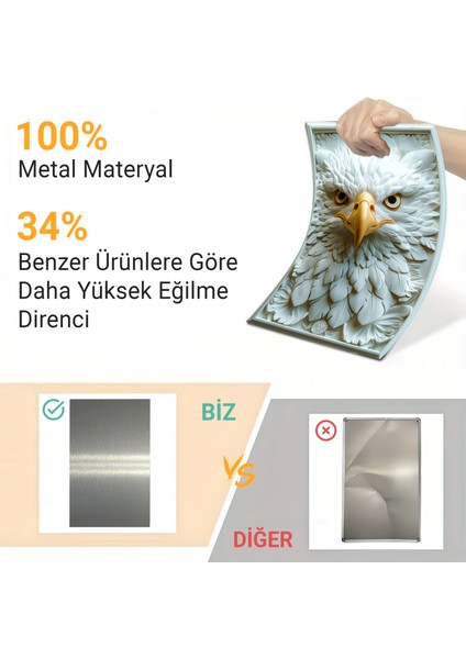 3D Görünümlü Metal Tablo Beyaz Kartal, Beşiktaş, Poster, Tablo, Tuval, Ev Dekorasyon, Dekorasyon fiyatları