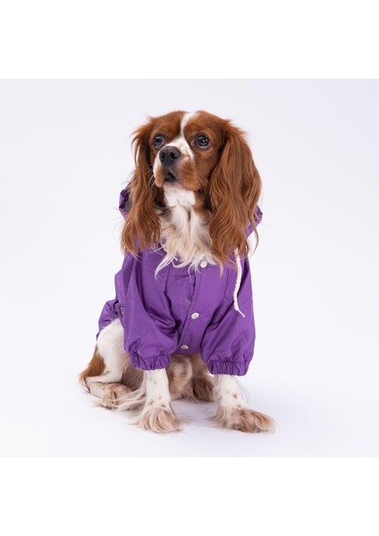 Mor Mont Köpek Mont Köpek Kıyafeti Köpek Yağmurluğu(Küçük-Büyük Irklar) fiyatları