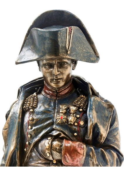 Napoleon Bonaparte Biblo
