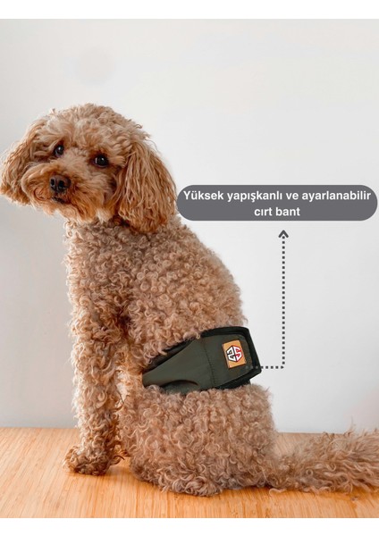 Erkek Köpek Çiş Bezleri - 3'lü Avantajlı Paket | Sızdırmaz ve Yıkanabilir Erkek Köpek Külotu | Yavru ve Idrar Kaçıran Köpekler Için Ideal