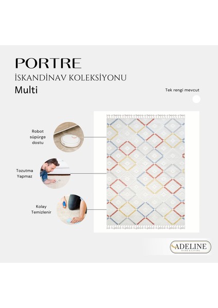 Portre İskandinav Modern Halı