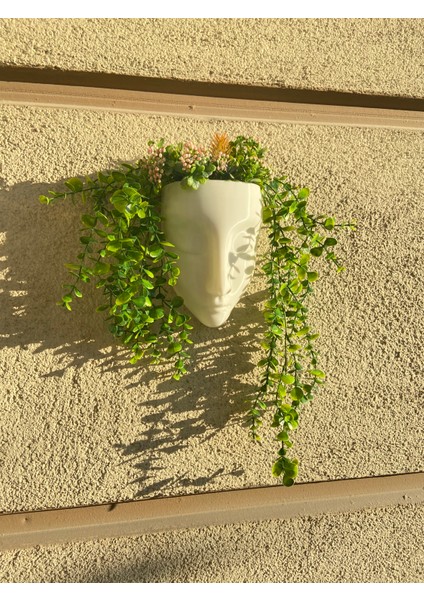 Yüz Duvar Saksısı 15 cm