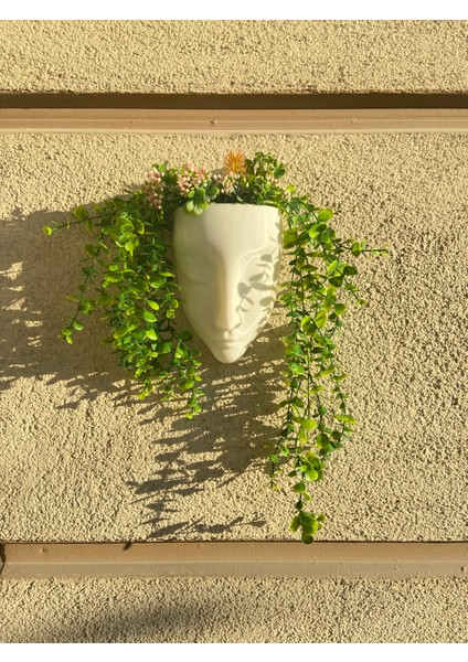 Yüz Duvar Saksısı 15 cm