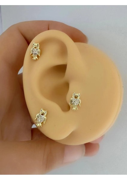 Arescollection Zirkon Taşlı 1 Adet Baykuş Tragus Helix Kıkırdak Kulak Memesi Uyumlu Piercing Küpe