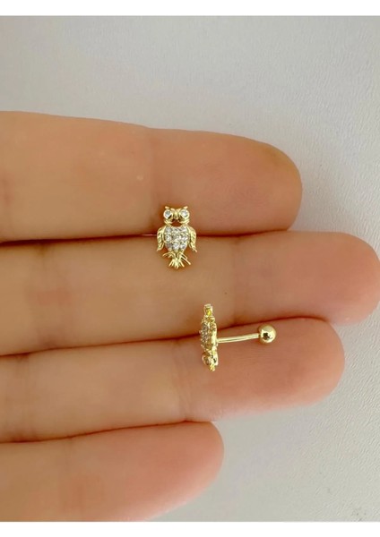 Arescollection Zirkon Taşlı 1 Adet Baykuş Tragus Helix Kıkırdak Kulak Memesi Uyumlu Piercing Küpe fiyatları