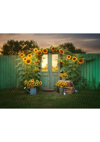 Güneş Batımı ve Günebakan Temalı Bahçe Stüdyo Fonu Arka Plan - 200X150CM