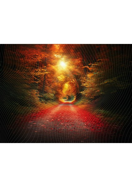 Sonbahar Ormanı Yolu Stüdyo Fonu - 200X150CM Arka Plan