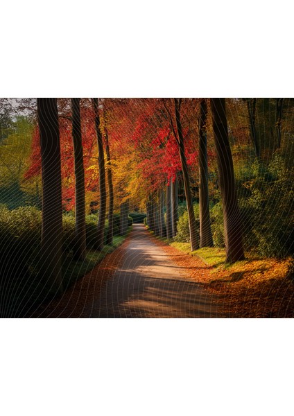 Güz Temalı, Orman Yolu 200X150CM Stüdyo Fonu Arka Plan