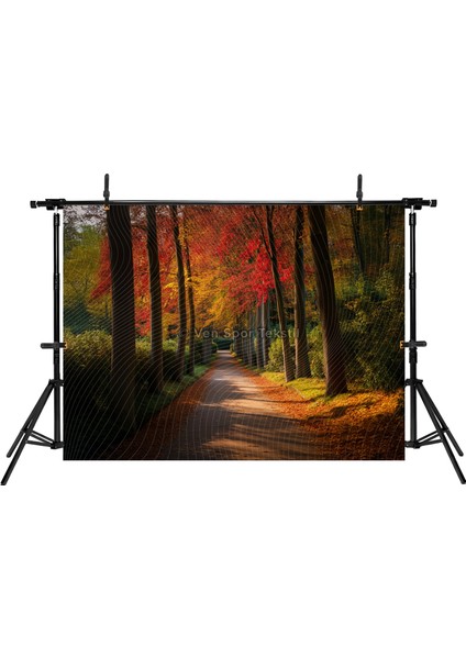 Güz Temalı, Orman Yolu 200X150CM Stüdyo Fonu Arka Plan fiyatları