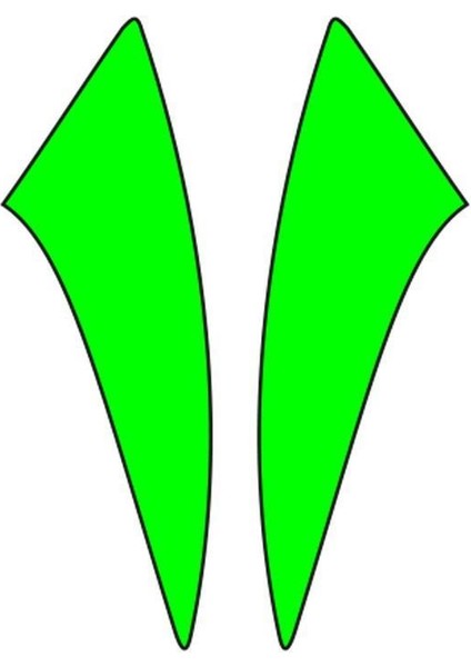 Sevenkardeşler Cg Florasan Yeşil Çamurluk Yan Sticker