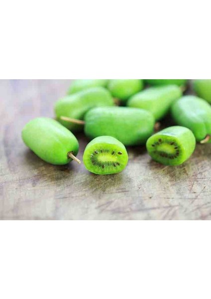 1-2 Yaş Arası Tüplü Mini Kivi (Actinidia Arguta) Fidanı - Soğuğa Dayanıklı ve Meyve Veren Fidan