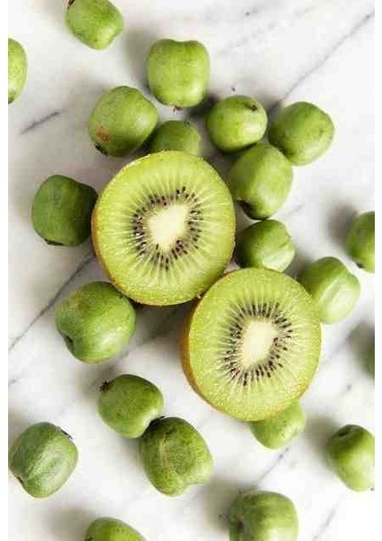 1-2 Yaş Arası Tüplü Mini Kivi (Actinidia Arguta) Fidanı - Soğuğa Dayanıklı ve Meyve Veren Fidan