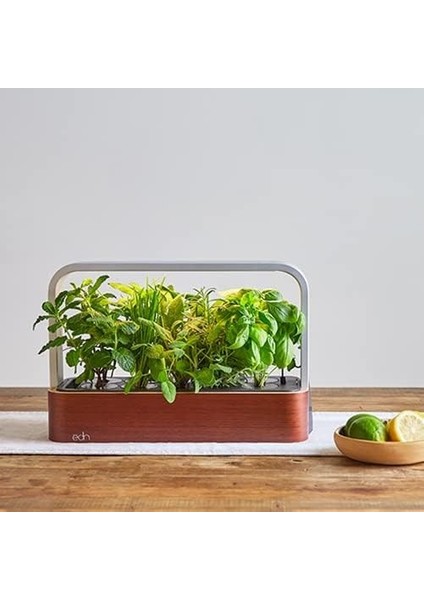 Bitkiler ve Çiçekler Için Iç Mekanda Yetiştirme Akıllı Bahçe Başlangıç ​​seti fiyatları