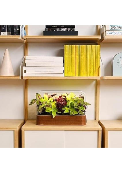 Bitkiler ve Çiçekler Için Iç Mekanda Yetiştirme Akıllı Bahçe Başlangıç ​​seti modelleri