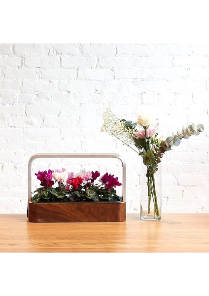 Bitkiler ve Çiçekler Için Iç Mekanda Yetiştirme Akıllı Bahçe Başlangıç ​​seti fırsatları