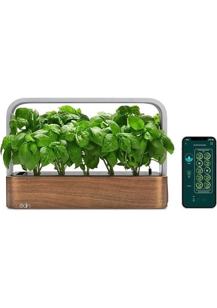 Bitkiler ve Çiçekler Için Iç Mekanda Yetiştirme Akıllı Bahçe Başlangıç ​​seti indirimleri