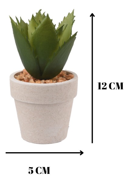 Dekoratif Agave Bovicornuta Yapay Çiçek