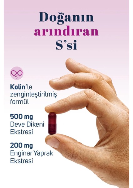 Sıdrex Milk Thistle Complex Deve Dikeni Ekstresi Ve Enginar Ekstresi Içeren Takviye Edici Gıda 60 Kapsül