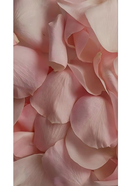 Gül Kurusu Çiçek Kombin 01 |çerçeveli Cam Tablo 3lü Dikey fırsatları