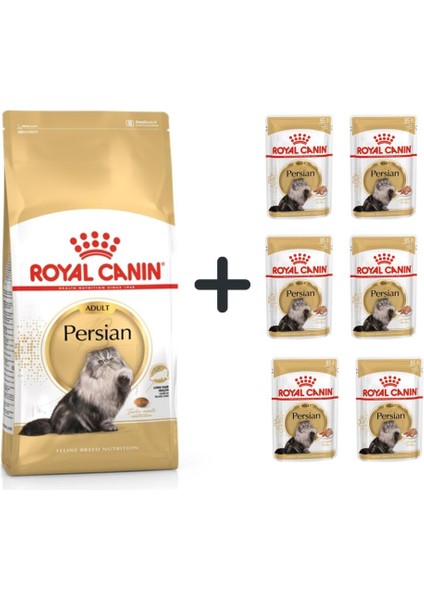 Persian Yetişkin Kedi Maması 2 kg + 6 Adet Yaş Mama