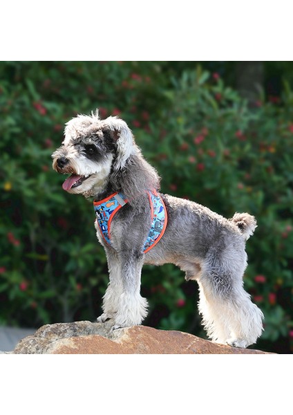 Blossom Step-In Mavi Köpek Göğüs Tasması fırsatları