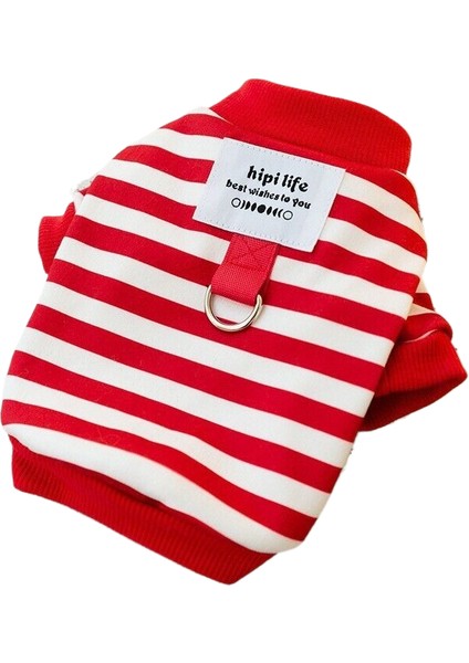 Yeşil ve Kış Giysileri, Sıcak Köpek Giysileri, Tatlı Sıcak Ayı Traktör Hoodie, Köpekler ve Kediler Için Sıcak Giysiler. (Yurt Dışından)