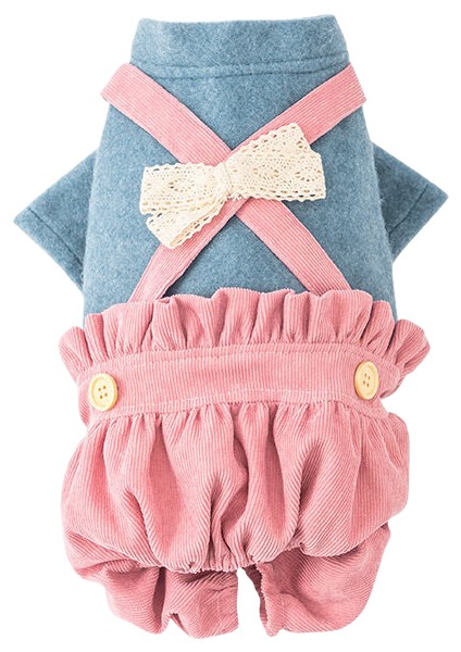 Dört Ayak Kıyafeti, Köpek Kedi Dışında ve Kış Sıcak Kıyafetleri, Küçük Köpek Tiger Giysileri, Dinozor Değiştirme Kıyafetleri (Yurt Dışından)