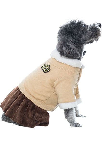 Dört Ayak Kıyafeti, Köpek Kedi Dışında ve Kış Sıcak Kıyafetleri, Küçük Köpek Tiger Giysileri, Dinozor Değiştirme Kıyafetleri (Yurt Dışından)