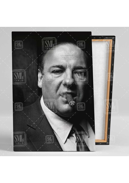 Sopranos Dizi Tony Soprano Efsane Dizi Karakteri Karizma Dikey Kanvas Tablo