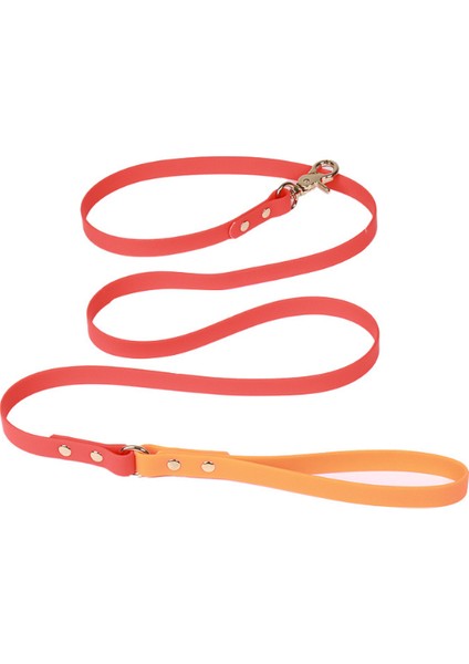 Özel Tasarım Yağmur Geçirmez 2 Renkli Köpek Gezdirme Kayışı