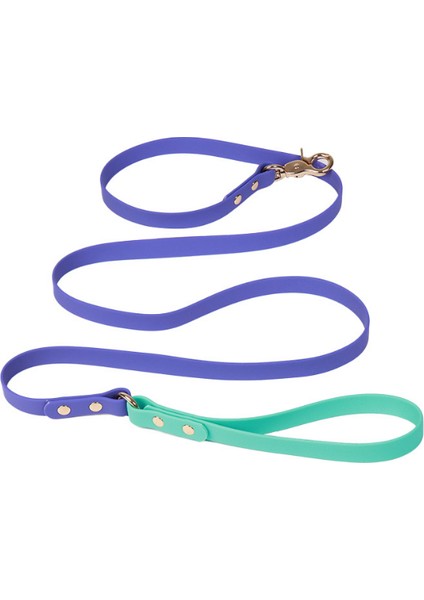 Özel Tasarım Yağmur Geçirmez 2 Renkli Köpek Gezdirme Kayışı
