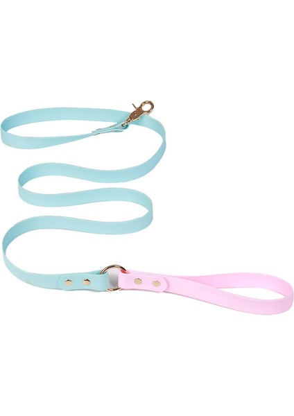 Özel Tasarım Yağmur Geçirmez 2 Renkli Köpek Gezdirme Kayışı
