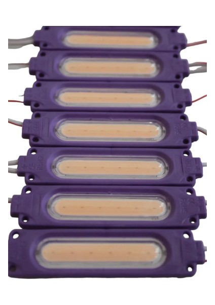 Cob LED Modül 2 Watt 12 Volt Lensli Mor (10 Adet)