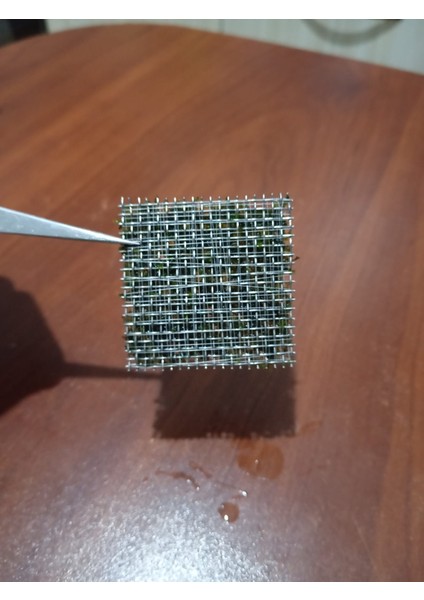 Mini Christmas Moss Yeni Sarım Canlı Bitki 5x5 cm modelleri