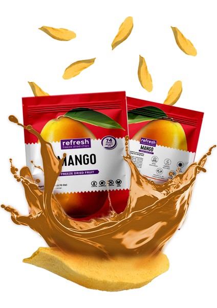 Freeze Dried Mango - Dondurularak Kurutulmuş Meyve - Freeze Dry Meyve Kurusu 20GR