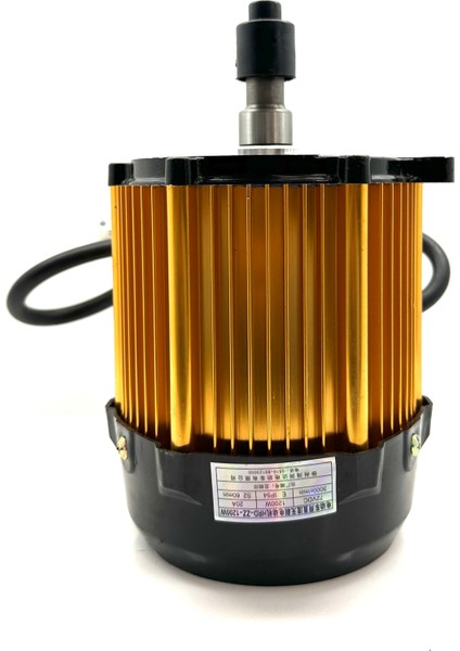 3 Tekerli Dinamo Motor 72V 1200WATT Arora