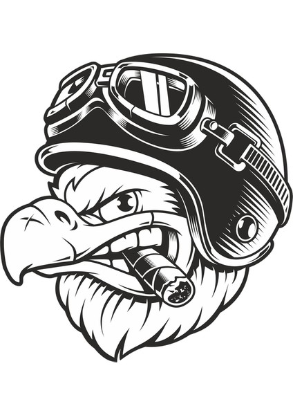 Kartal Sticker 10X10 Cmrenkli Sticker