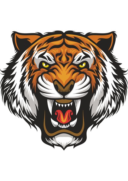 Kaplan Sticker 5 10X10 Cmrenkli Sticker