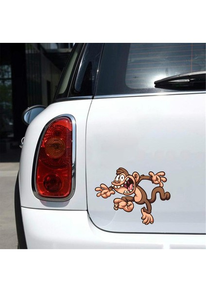 Maymun 2 Sticker 10X10 Cmrenkli Sticker