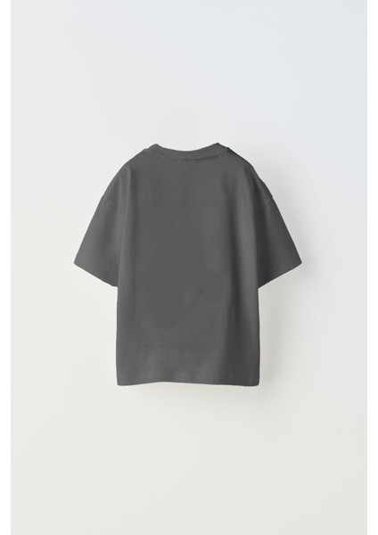 Fast Furious Yazılı Araba Baskılı Füme Çocuk T-Shirt fiyatları