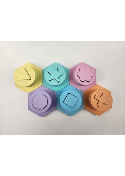 Boyalı Montessori Doğal Ahşap Eğitici Oyuncak Pastel Blok Puzzle 6'lı Set