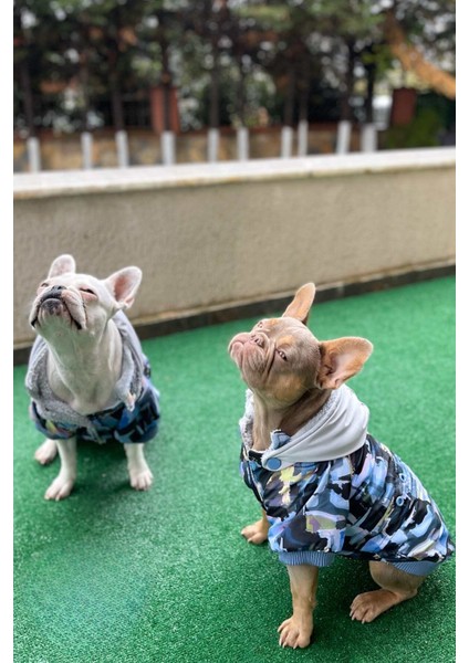 Grafiti Design Köpek Montu