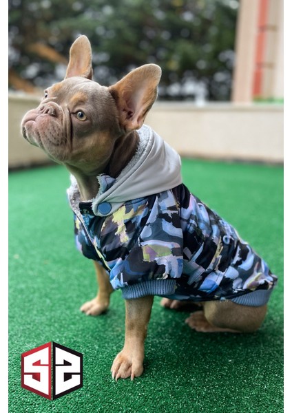 Grafiti Design Köpek Montu indirimleri