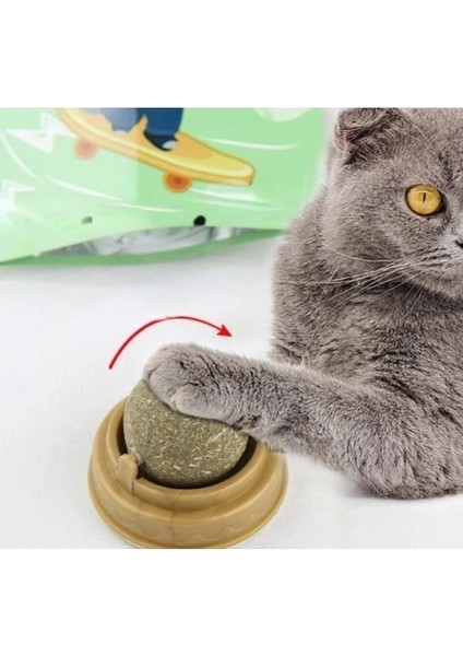 Kedi Nanesi Oyun Topu